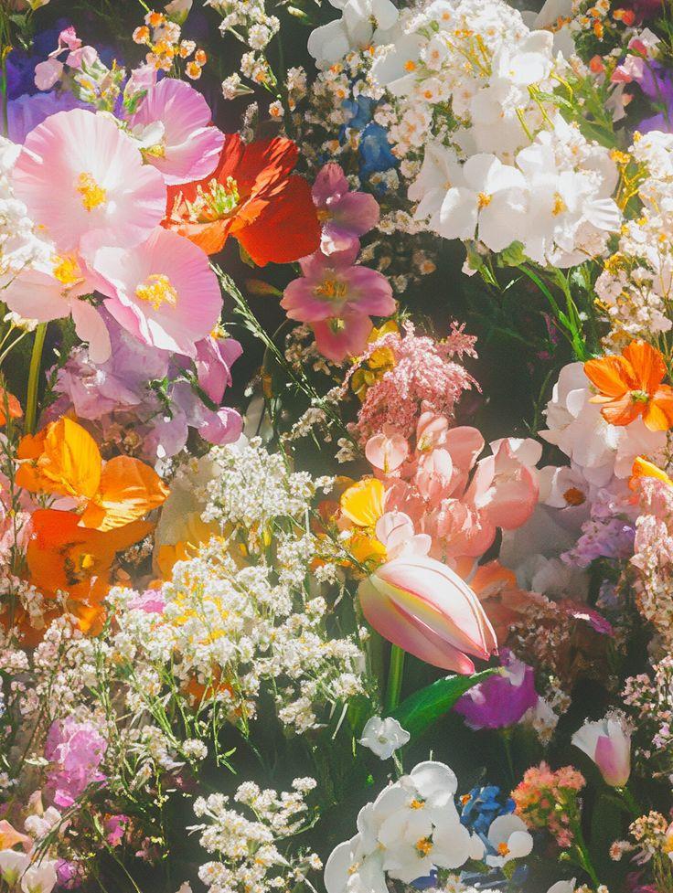 Grand Studio Balance workshop space where corporate flower arrangements are designed and prepared for business delivery